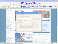 ie quick saver screenshot